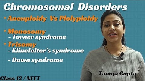 Chromosomal Disorders | Principles of Inheritance and variation | Class 12 / NEET
