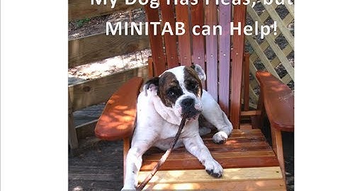Creating a Binomial Distribution Table using MINITAB