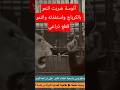 محمد بسطويسي أنوسة كوتة لما ضربت النمر بالكرباج زاد غضب وبعدها أعطيته إشارة خاطئة وهاجمني