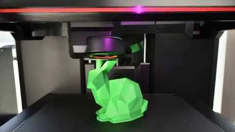 MakerBot Replicator + Timelapse Bunny