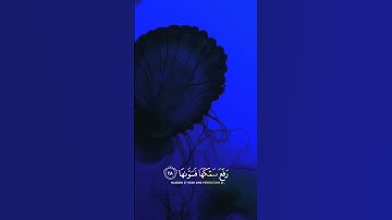 تلاوة هادئة تفيض جمالاً أرح بها بالك #4k