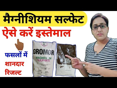 वीडियो: मैग्नीशियम की खुराक को सर्वश्रेष्ठ अवशोषित कैसे करें: 14 कदम (चित्रों के साथ)