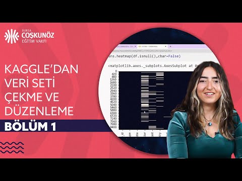 Video: SAS veri seti nedir?