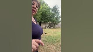 Playing with my dog ​​#angie #Wao Wao