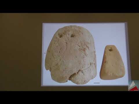 ცვანეს „დიდი დიხაგუძუბას“ ტერიტორიაზე ჩატარებული არქეოლოგიური კვლევების ანგარიში - რ. პაპუაშვილი