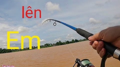 Câu cá sông, xuống cần là dính cá cóc liền //câu cá sông Đồng nai