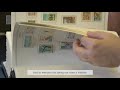 Public Health and Anti Racism on Stamps | Curators on Camera