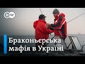 Злочинна рибалка: драконівські штрафи за браконьєрство | DW Ukrainian
