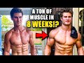 Sage Northcutt Packs On A TON Of Muscle In Only 8 Weeks!? - NATTY OR NOT