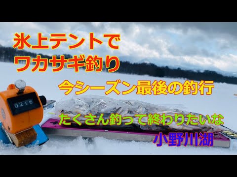 2023年3月4日　氷上テント　ワカサギ釣り　小野川湖　今シーズン最後の釣行