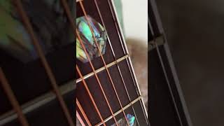 Harley Benton Custom Line Cld-41S Wn Review