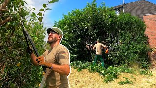 I Barely FINISHED Pruning The OVERGROWN Laurel Hedge On a HOT Summer Day