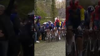 Celebrity The moment a spectator almost caused an accident at the E3 Saxo Classic Profile