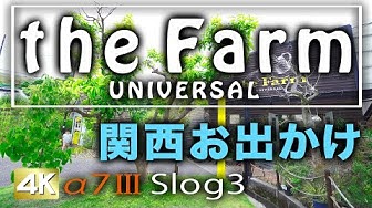 ザファームユニバーサル Youtube