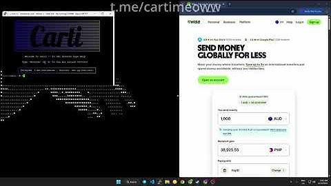 Carti C2 Slamming wise.com | BEST BOTNET/C2/API CHEAP PLANS 2025!