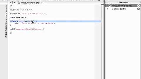 The All Important Semi-colon.flv