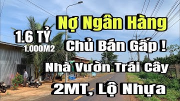 anh Hiếu tình cảnh khó khăn, bán gấp nhà vườn trái cây, 2MT, Huyện cẩm Mỹ cũ, Đồng Nai