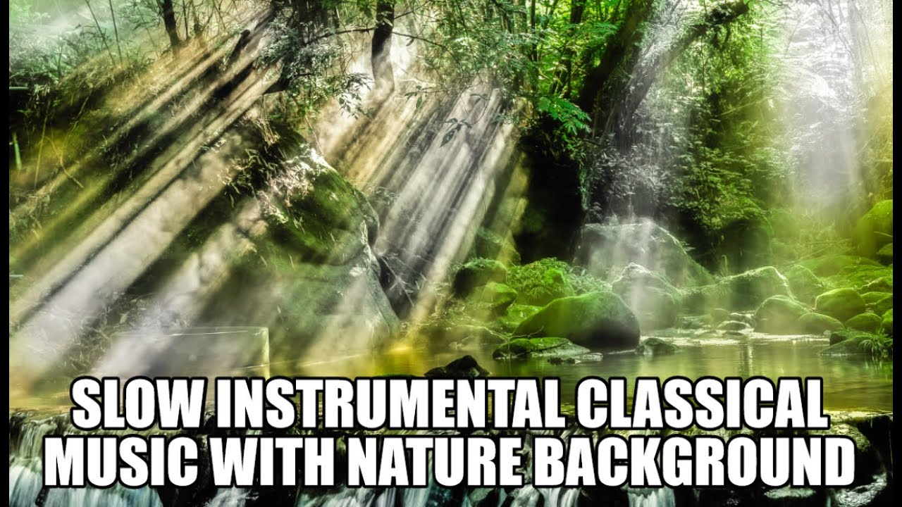 Slow instrumental classical music with nature background - YouTube