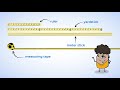 Selecting The Right Measuring Tools For Backyard Exploration