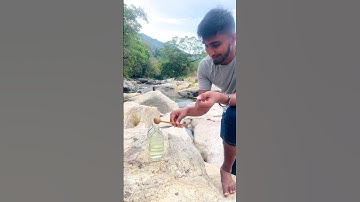 Music with the beauty of the environment