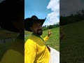 Deixe sua opinião sobre o assunto já seguenois #pecuarista #cavalo #gado #fazenda #vidanaroça