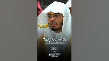 #الشيخ #ياسر_الدوسري #روائع_تلاوات_الشيخ_ياسر_الدوسري #روائع_التلاوة #عبدالرحمن_السديس #اكسبلور