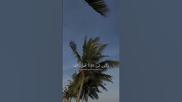 #تلاوة_خاشعة من #سورة_العنكبوت #القارئ فاتح سفرجيك #اكتب_شي_تؤجر_عليه #اكسبلور #راحة_نفسية