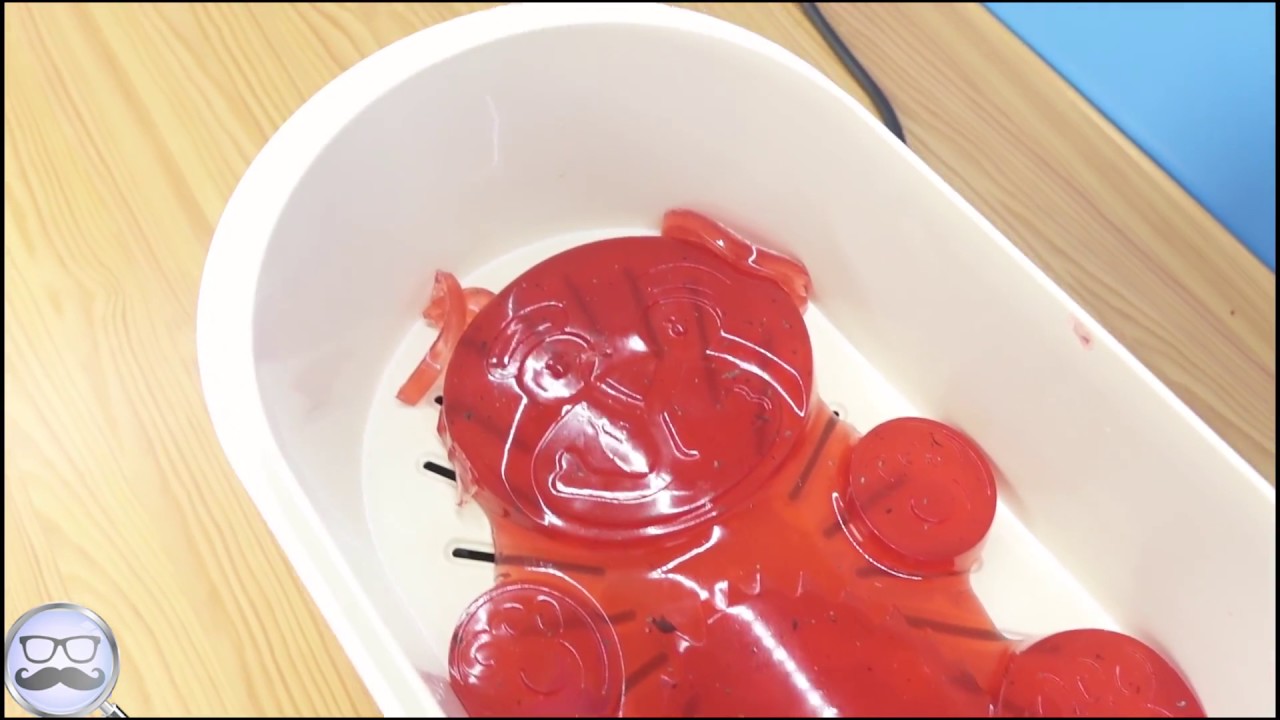 желейный медведь валера и паша. жилельный медведь варера опаты. опыты над валерой. валера опыты. желейный медведь валера опыты.