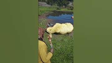 v102 Simulate Survival skills #shorts