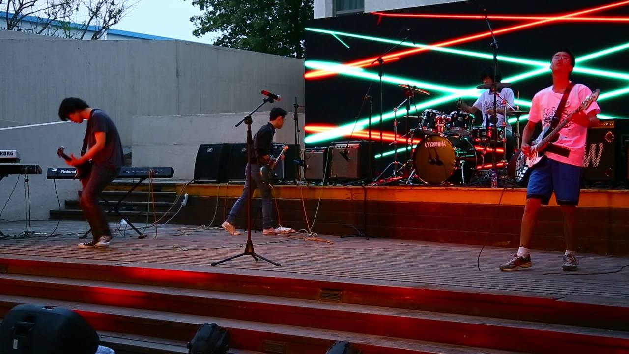 Watch dolphin. @ BCIS Rock Fest Ain't No Rest for the Wicked Cover on YouTube Watch dolphin. @ BCIS Rock Fest Ain't No Rest for the Wicked Cover on YouTube