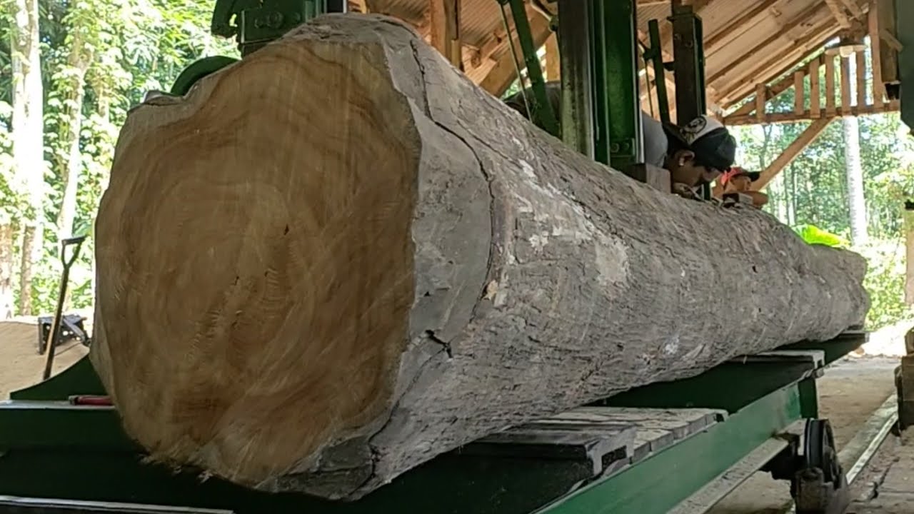 Amazing! The process of sawing long teak wood to make elite joglo wood ...