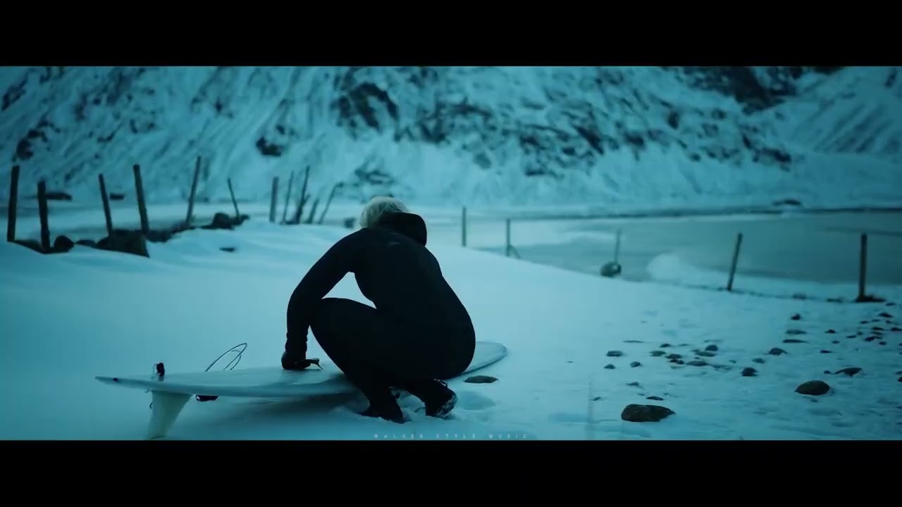 Alan Walker - Hero Remix Nev Music 2023 .