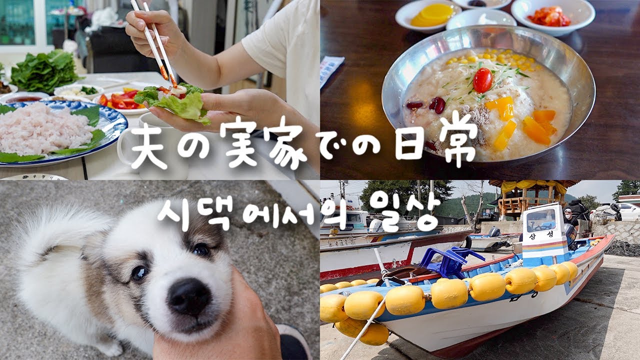 ハモ刺で夜ごはん、甘くてクセになる豆乳麺、子犬のしつけに海の見えるカフェ【日韓夫婦/日常vlog】