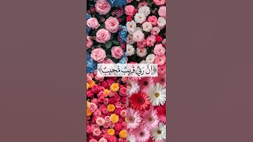 احترم القرآن الكريم وأكتب شيئا تؤجر عليه #صلى_ع_النبى #تلاوة_خاشعة