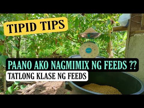 Video: Ang Cufea (Cuphea) Ay Nagniningas Na Pula, Pagpaparami At Pag-aalaga, Species At Hybrids