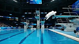 AI Cat Olympics Diving Fails – These Cats Weren’t Ready 🐱💦😂