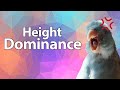 Height Dominance | Behaviour Solutions