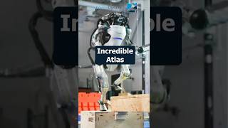 Incredible robot Atlas  | Pro robots