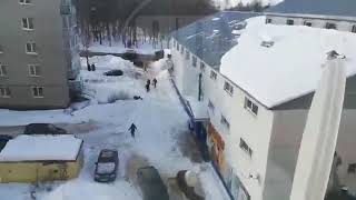 Видео Редкостное чутье и острота реакции (автор: DISLIKE)