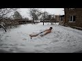 Playing with snow / ice bath