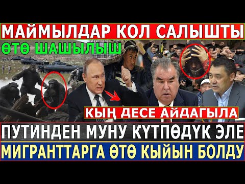 Video: Биз муну курабыз