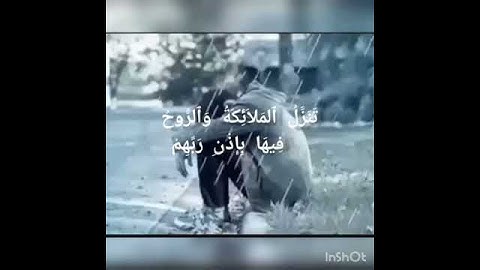 سورة القدر بصوت الجميل القارئ يونس زروال 💕🥀🌹
