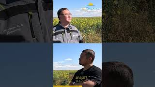 Молочная ферма на 6000 коров дойного стада в Казахстане