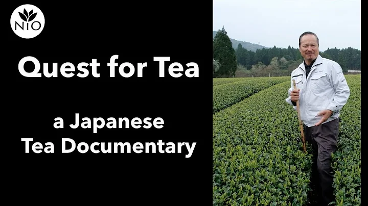 Quest for Tea - a Japanese Tea Documentary - DayDayNews