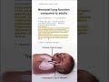 Neonatal lung function compared to adults