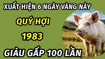 Sự thật bất ngờ cho người tuổi quý hợi 1983 trong 6 ngày vàng tài lộc xoay chiều phất lên như diều 