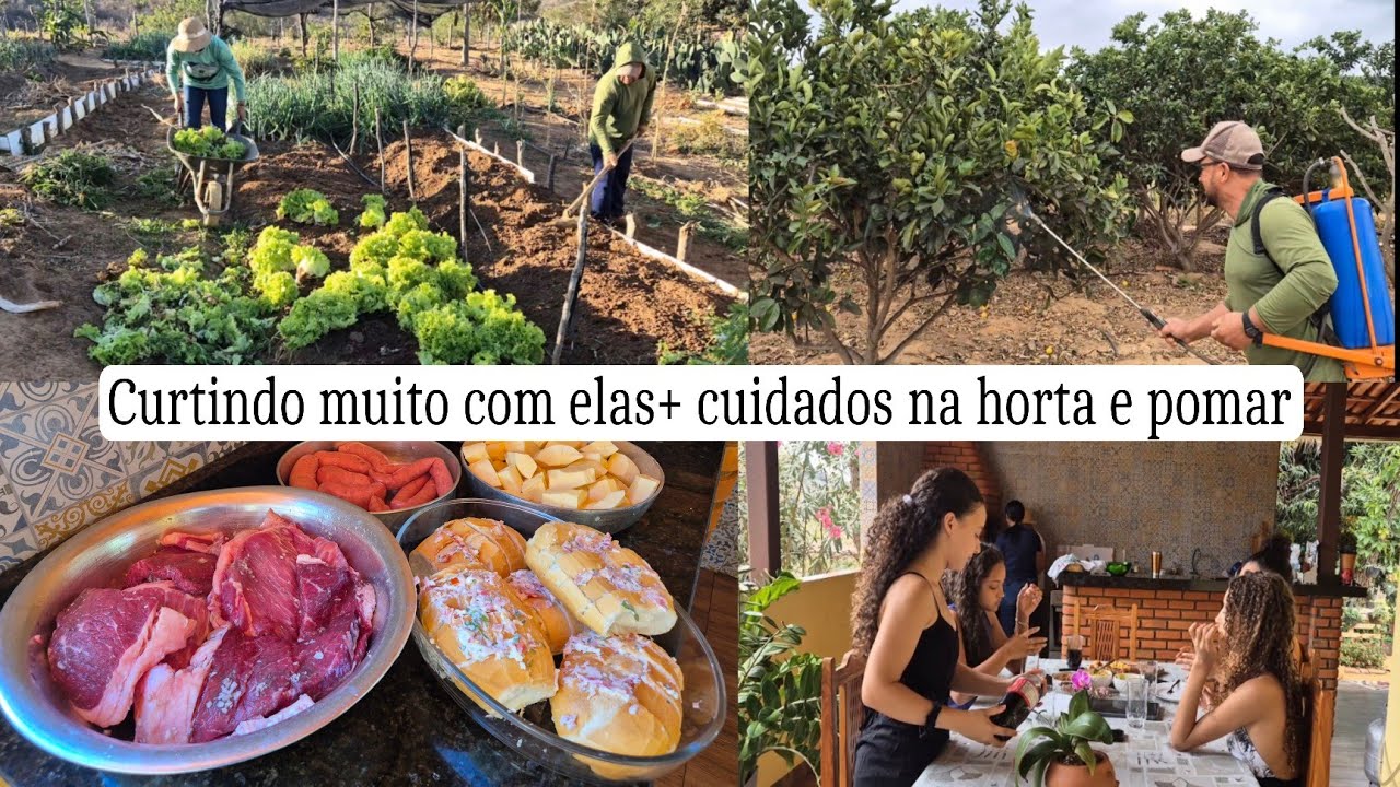 Curtindo muito nosso domingo com churrasco e família/como combater pragas no pomar/Plantando 