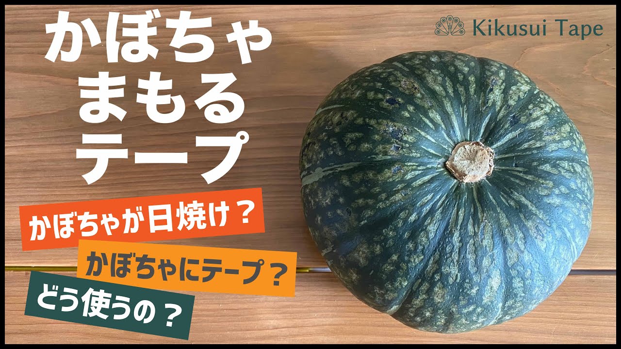 受注生産品】 菊水テープ かぼちゃまもるテープ 200mm X 50m 10巻