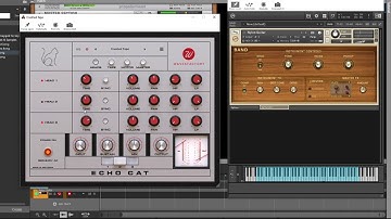 Echo Cat by WAVESFACTORY - Vintage Tape Echo Plugin - This is a Beautiful Thing