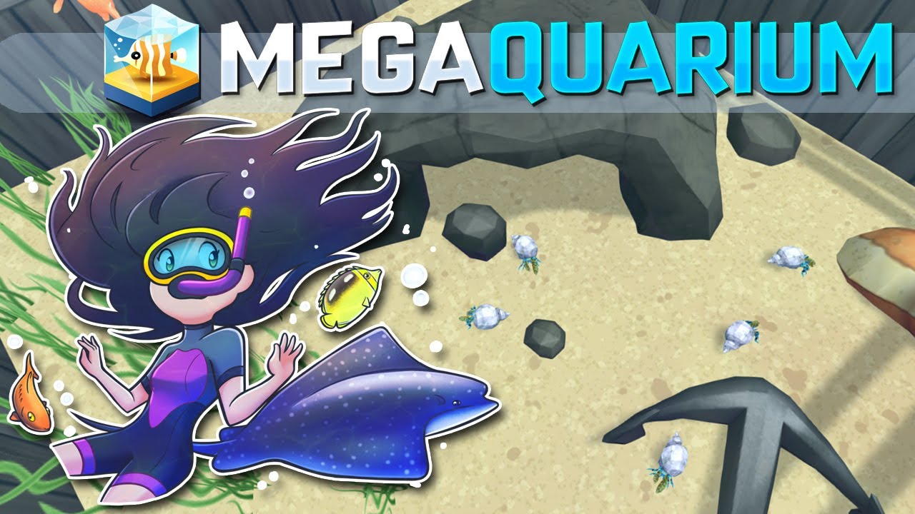Hermit Crab DANCE PARTY!! 🐠 Megaquarium • 4 YouTube